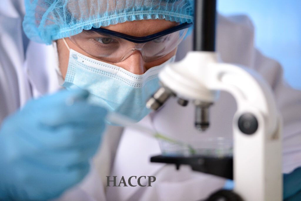 Superfici a contatto con alimenti 2 haccp1