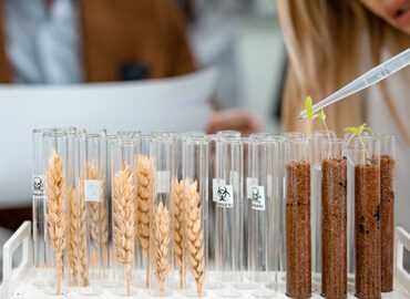 Clinical Trial Design Best Practices 29 chi siamo