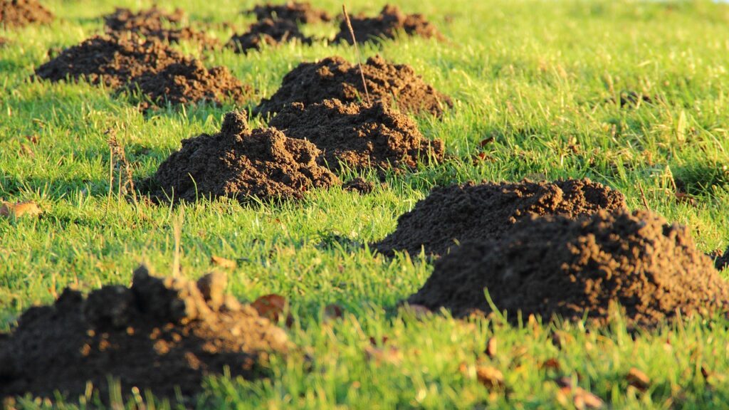 Terre e rocce da scavo e bonifiche in aree agricole