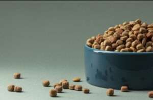 cibo per animali
