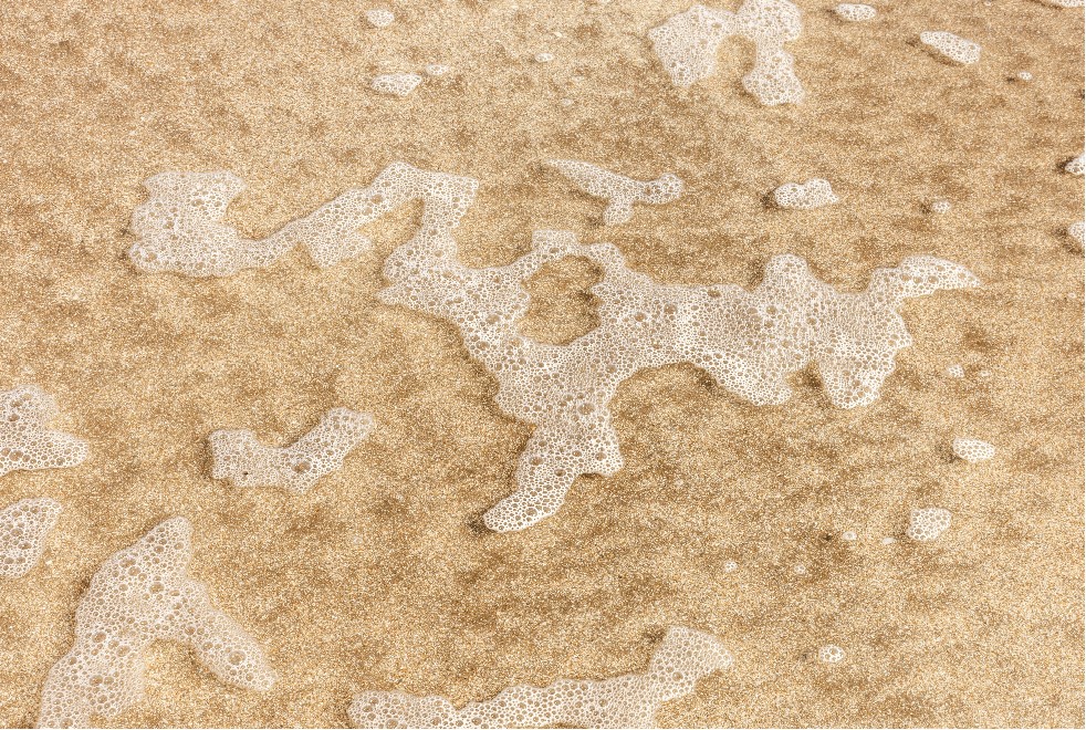 analisi dei sedimenti