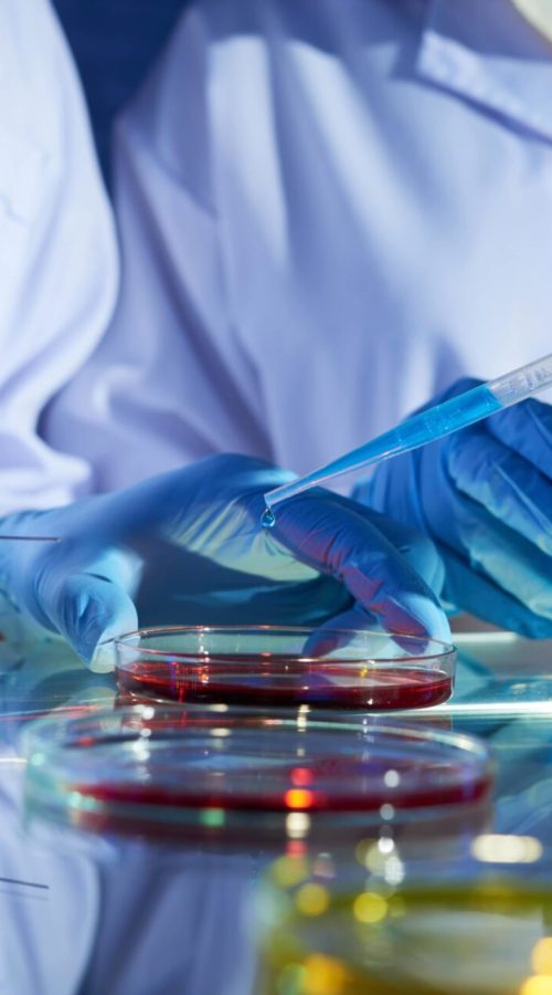 microbiologia-min