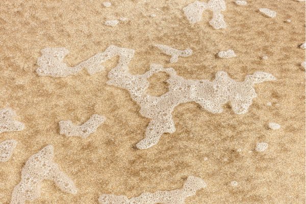 analisi dei sedimenti